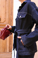 Ensemble DENIM